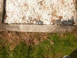 image of grave number 808886